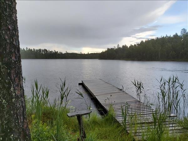 Ormsjön - Bild 3