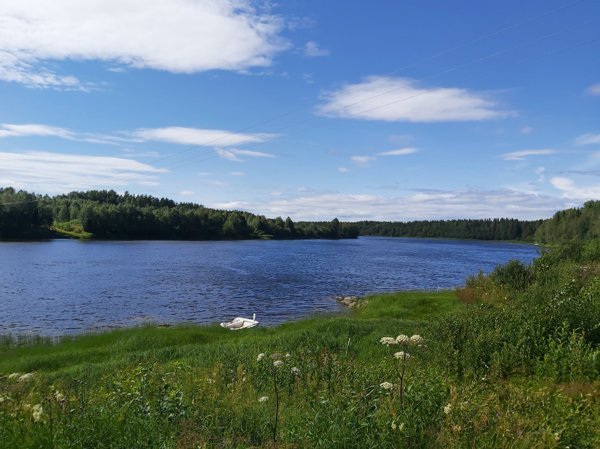 Överrödå - Bild 3