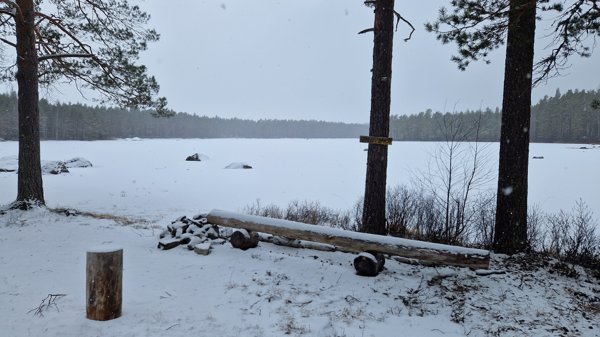 Ramsellskogens naturreservat - Bild 1