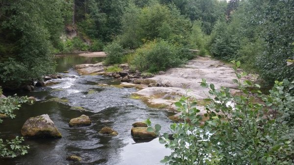 Raststuga Oxsta fiskeplats - Bild 6
