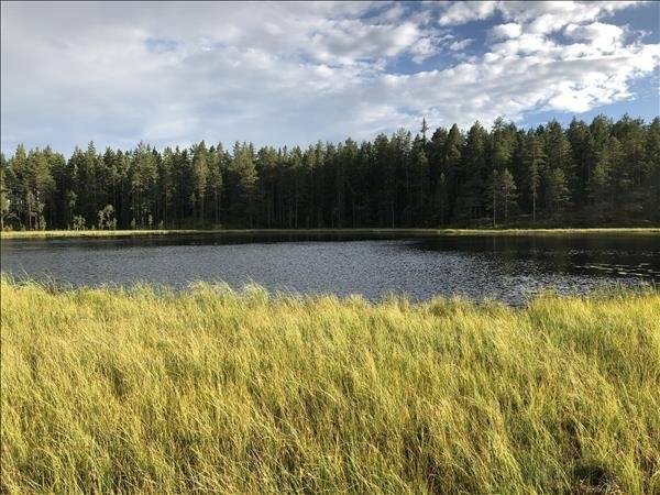 Reptjärn - vindskydd & grillplats - Bild 2