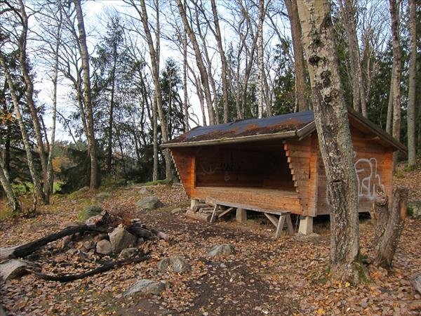 Rinkebyskogen 1 - Huvudbild