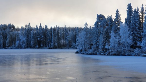 Rödfisksjön 1 - Bild 2