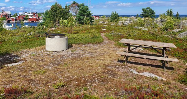 Rönnharet - Bild 1