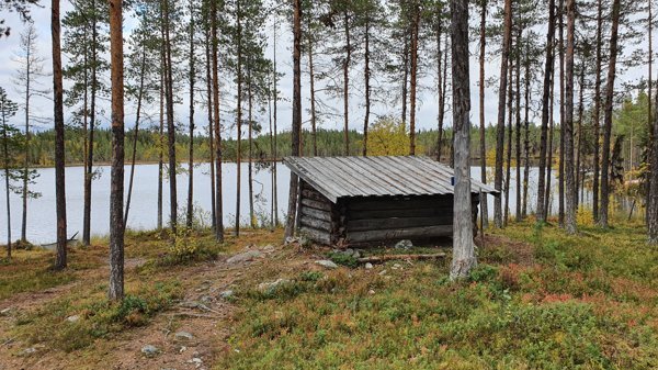 Rörsjön - Bild 1