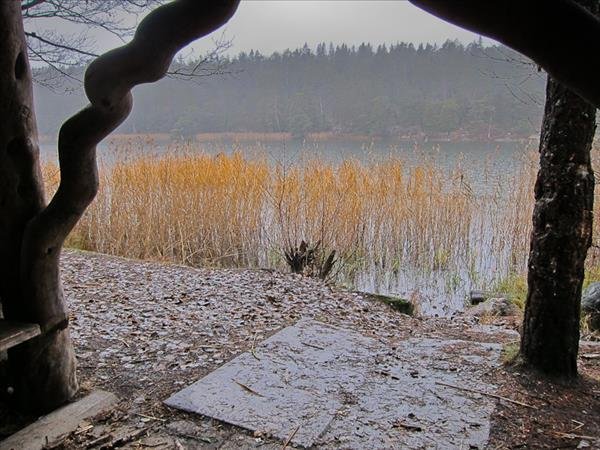 Rösjöskogen 8 - Bild 3