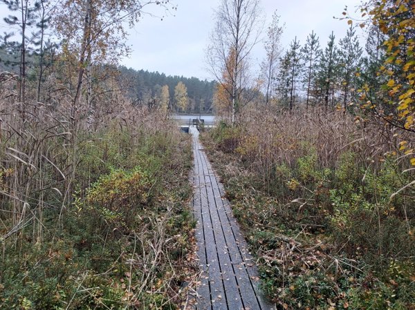 Röstentjärn ost - Bild 2