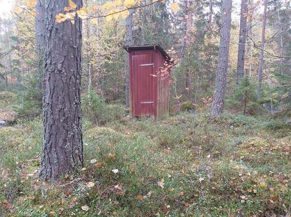 Röstentjärn ost - Bild 3