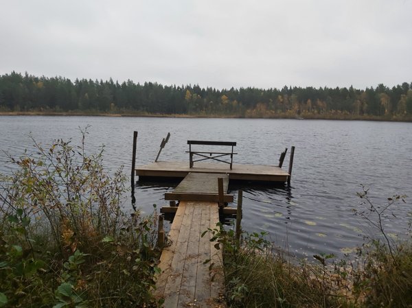 Röstentjärn sydväst - Bild 3