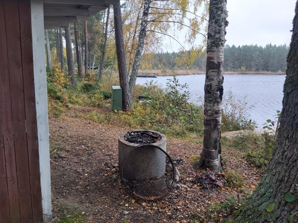 Röstentjärn sydväst - Bild 4