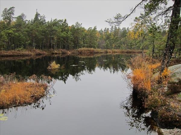 Rudan 8 - Bild 2