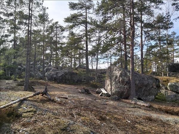 Sagberg - Bild 1