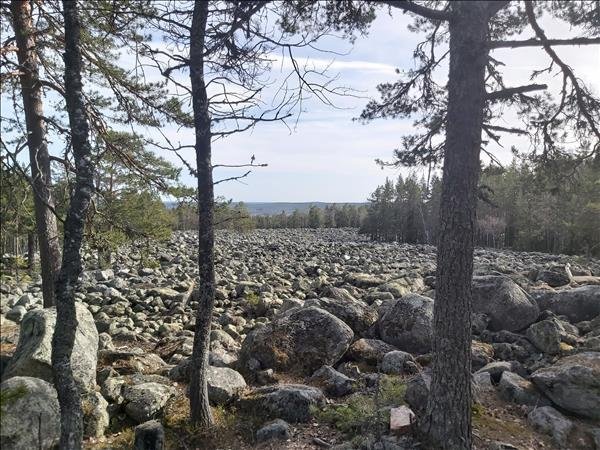 Sagberg träkåtan - Bild 4