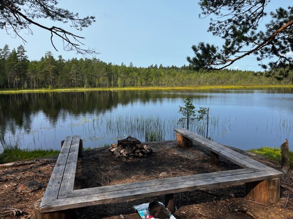 Sagostigen - Huvudbild