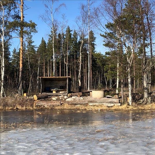 Sälgsjön - Bild 4