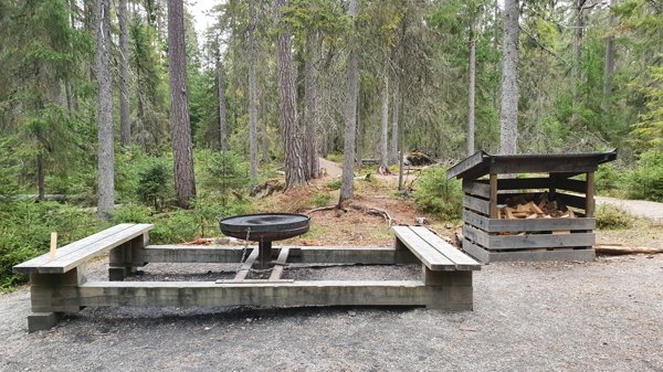 Sanders Gammelskog - Bild 2