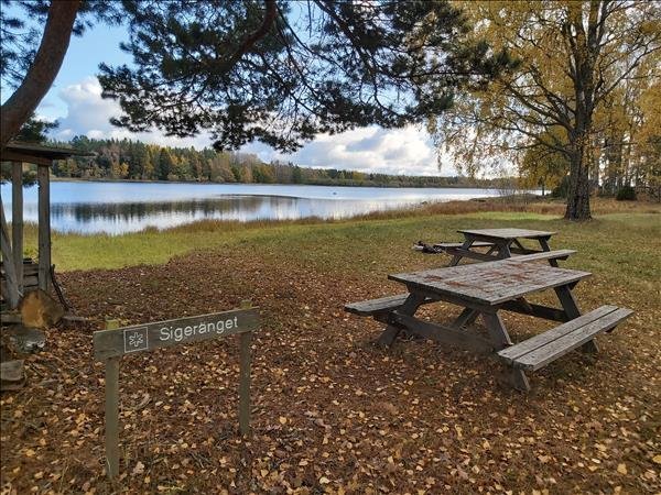 Sigeränget - Bild 3
