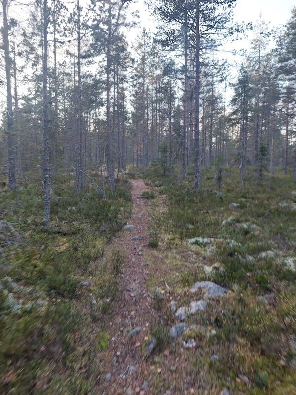 Skärsättstugan - Bild 3