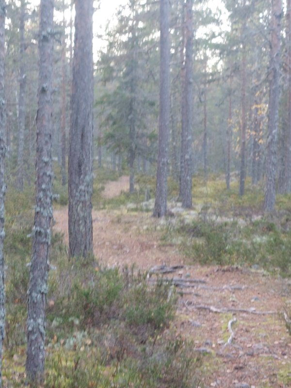 Skärsättstugan - Bild 4