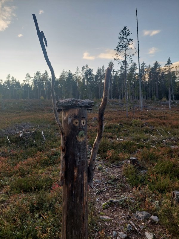 Skärsättstugan - Bild 5