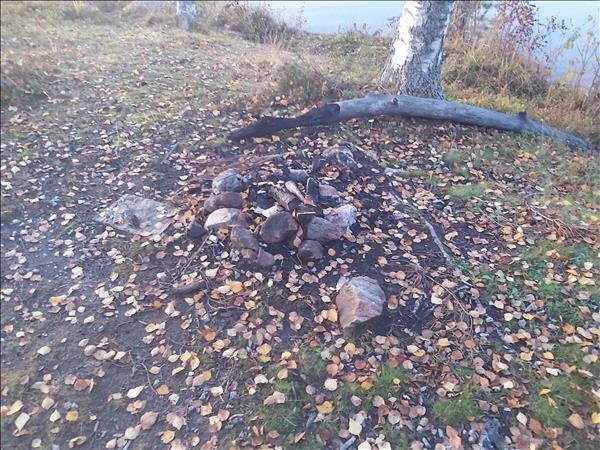 Skogsands vindskydd - Bild 2