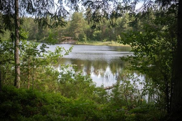 Södra kvarntjärnets rastplats - Bild 2