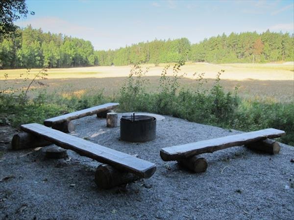 Södra Törnskogen, åkerkanten - Huvudbild