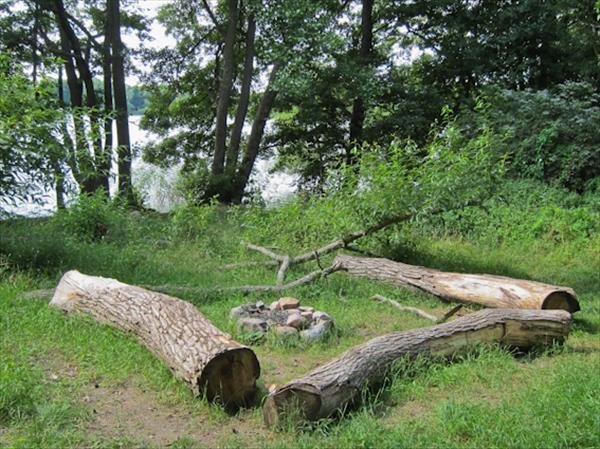 Södra Törnskogen, Vaxmora äng - Huvudbild