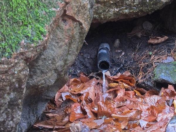 Södra Törnskogen, Vaxmoratorpet - Bild 3
