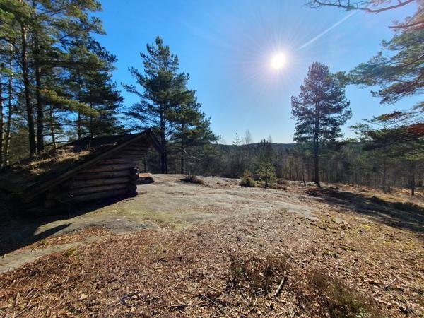 Stora Mossens Vindskydd - Bild 3