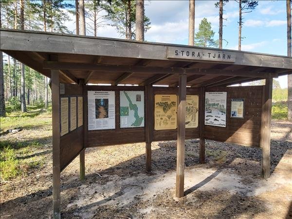 Stora Tjärn - Bild 2