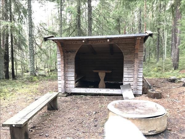 Storfly - Bild 1