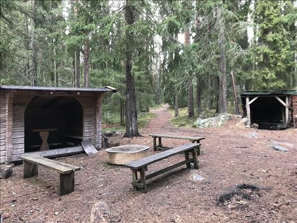 Storfly - Bild 2