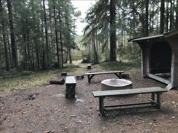 Storfly - Bild 3