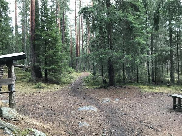 Storfly - Bild 4