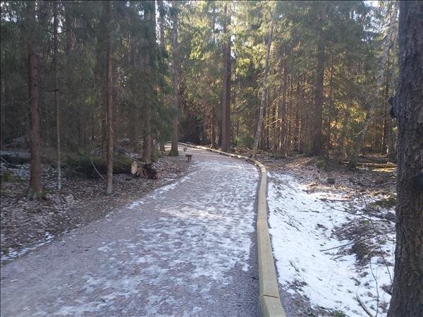 Stormursladan #2 - Bild 3