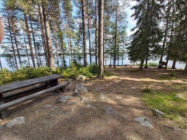 Svartviken 2 - Bild 2