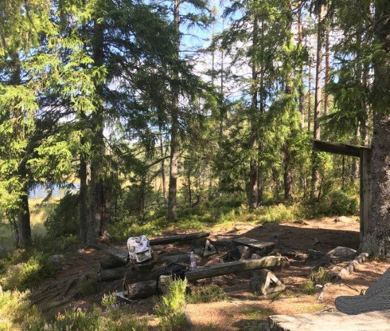 Tarzanbergen - Bild 1