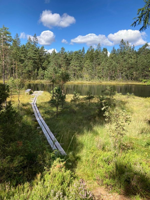 Tarzanbergen - Bild 2