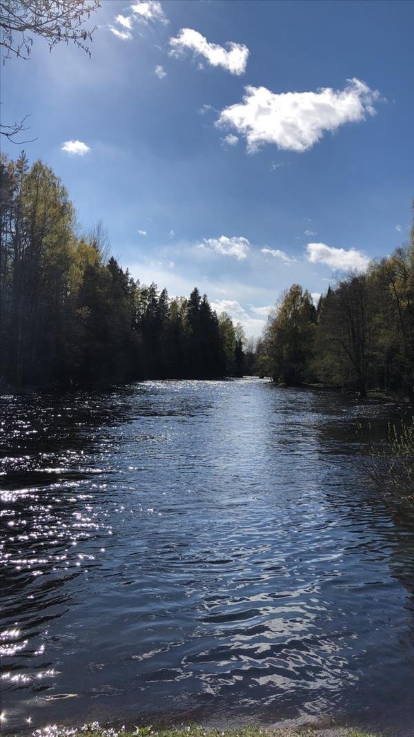 Testebo ån - Norra Åbyggeby - Bild 1