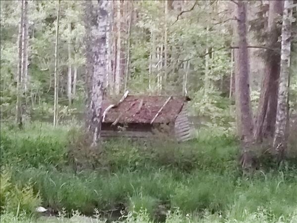 Testeboån mitt i forsen - Bild 1