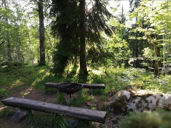 Testeboåns naturreservat vid Oslättfors - Huvudbild