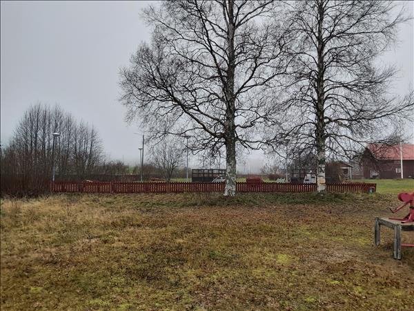 Tjärusanden #1 - Bild 3