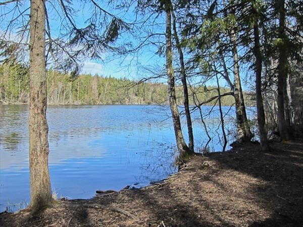Transjön - Bild 2