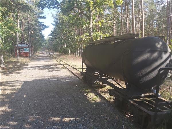 Trollskogen - Bild 3
