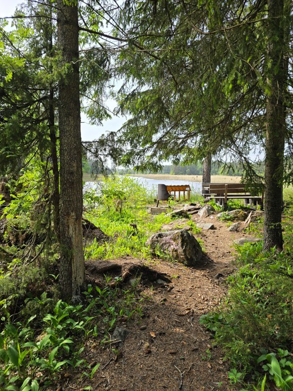 Tröskens rikkärr - Bild 2