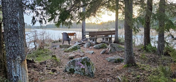 Tröskens rikkärr - Bild 5