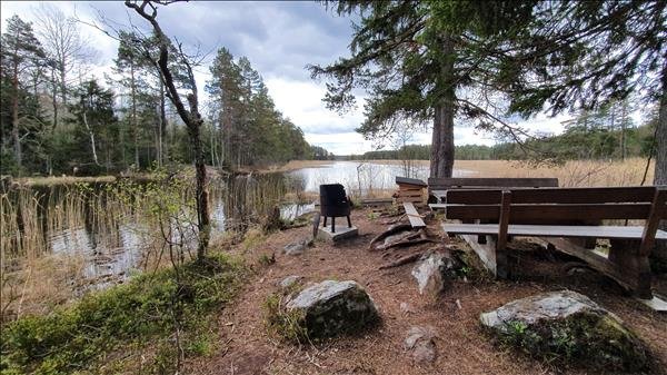 Tröskens rikkärr - Huvudbild