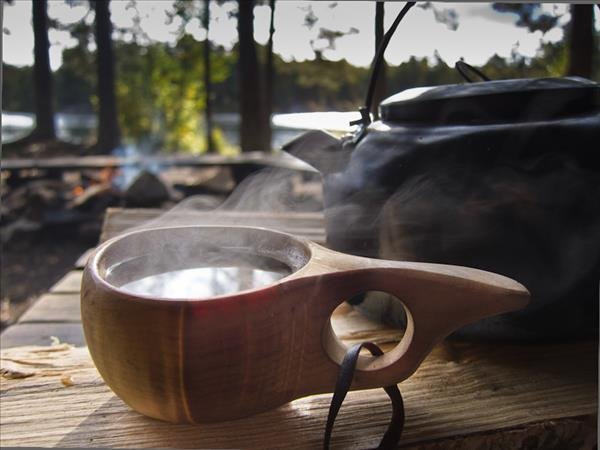 Tyresta nationalpark, Årsjön - Bild 3