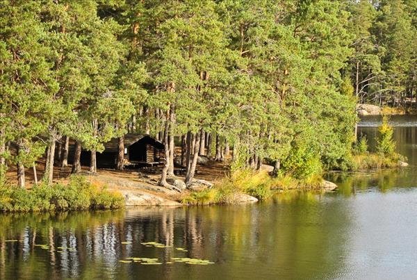 Tyresta nationalpark, Årsjön - Huvudbild